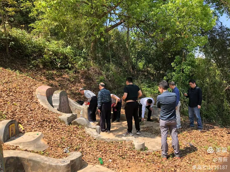 上山扫墓的路途荆棘丛生，坡滑